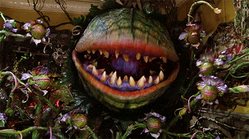 tumblr_inline_ofxaqdIj541t0ijhl_500.gif
