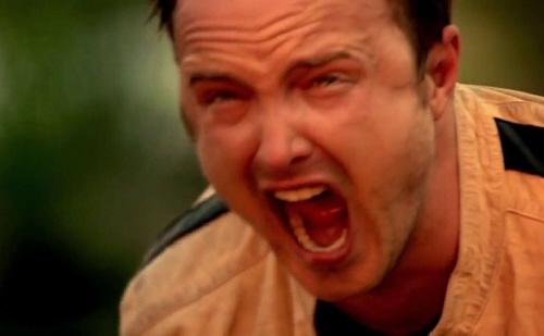 tumblr_inline_oiax8ibs5G1rgrsr8_500.jpg