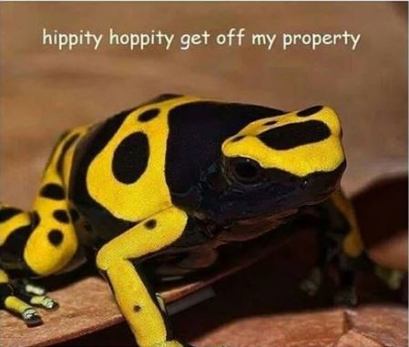 tumblr_inline_ok7sc16PQL1swin4g_500.jpg