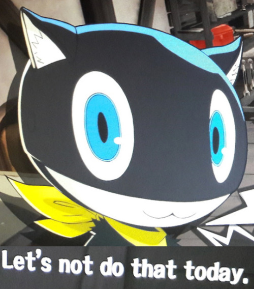 tumblr_inline_oospe1gCHu1slb94s_500.jpg