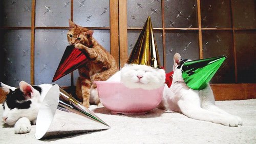 tumblr_m3dvxfNQTD1qfw2dno1_500.gif