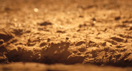 tumblr_mkom23XNxy1r4zr2vo1_r1_500.gif