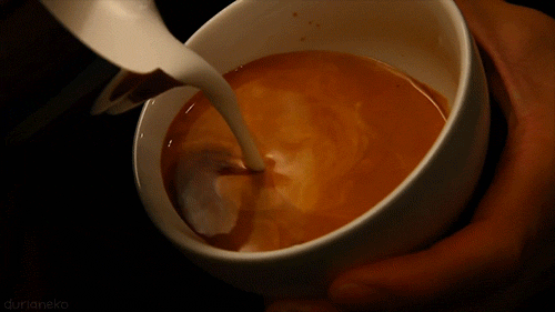 tumblr_mmibqfXXYB1qfmbnyo1_500-1.gif
