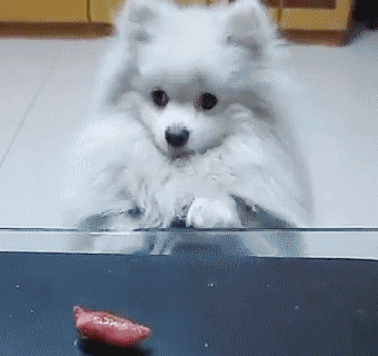 tumblr_mmmd715l7J1s2yegdo1_400.gif