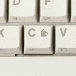 tumblr_nc2eojHRNk1s46p8ao1_250.gif