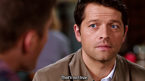 tumblr_nhqzjlk6Cc1tskyv2o1_500.gif
