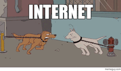 tumblr_np0y82cM3Y1spm17no1_250.gif
