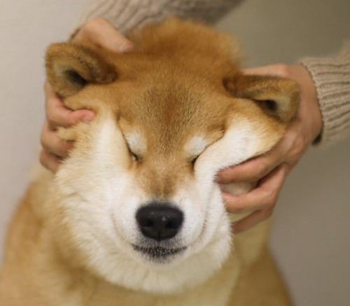 tumblr_o3q19g5bpu1qe81uzo1_500.jpg
