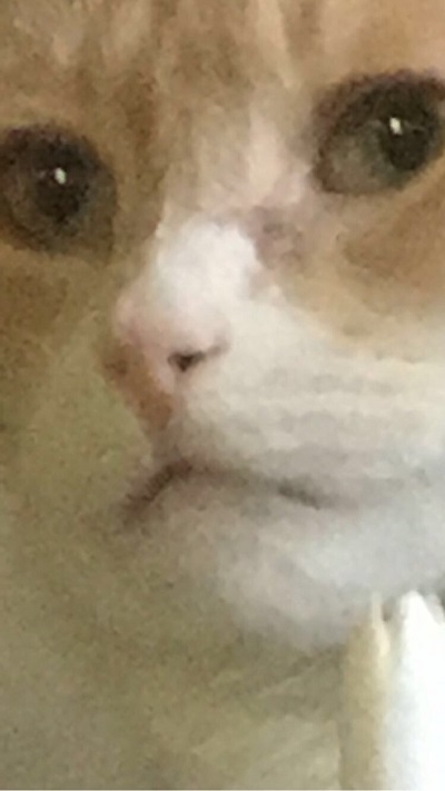tumblr_oeg4eb73Sa1qzcg6lo5_1280.jpg