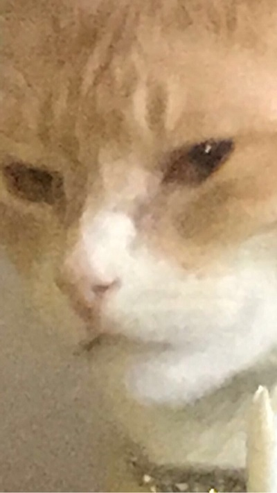 tumblr_oeg4eb73Sa1qzcg6lo6_1280.jpg