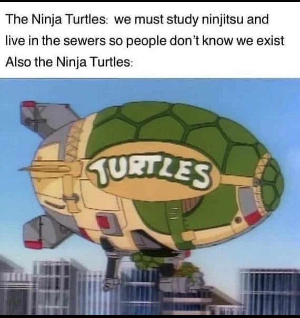 turtles.jpg