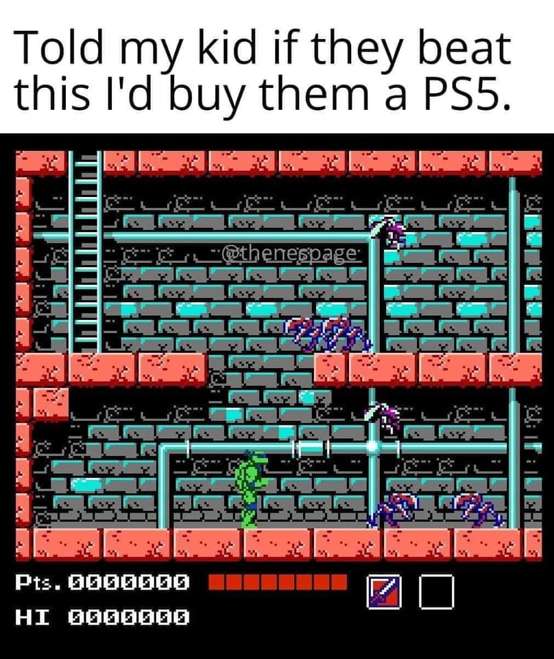 turtles - ps5.jpg
