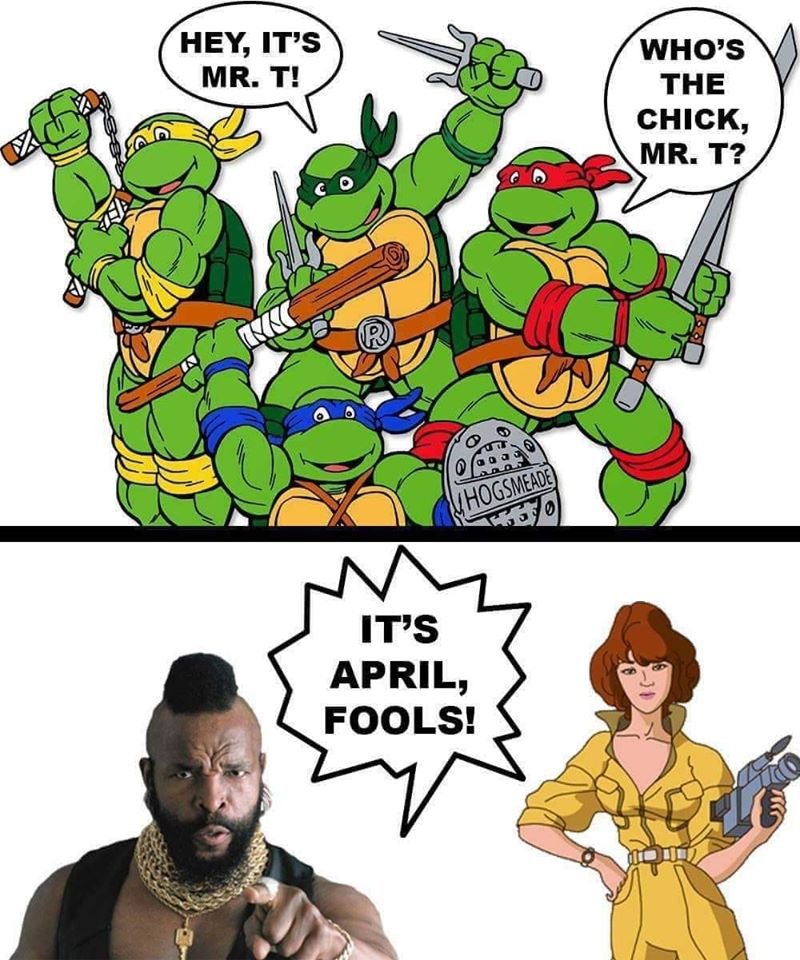 turtles t.jpg