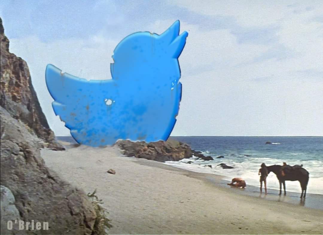 twitter pota.jpg
