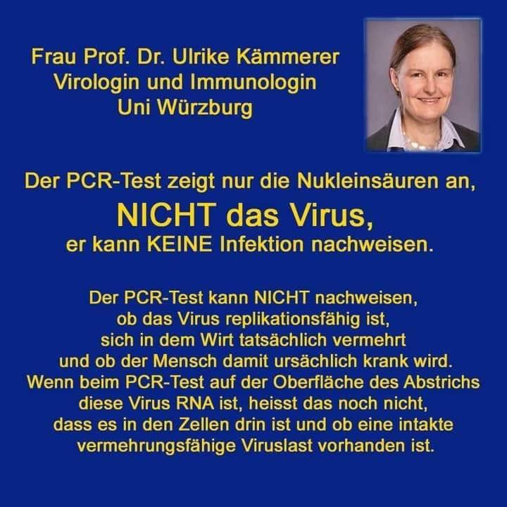 ulrike_kämmerer_virologin_immunologin_uni_wuerzburg_zu_PCR_Tests.jpg