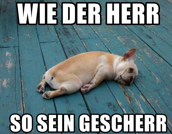 Unbenannt.JPG