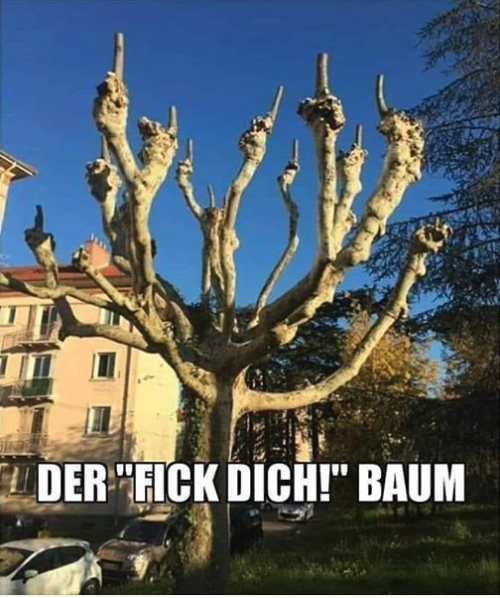 Unbenannt.PNG