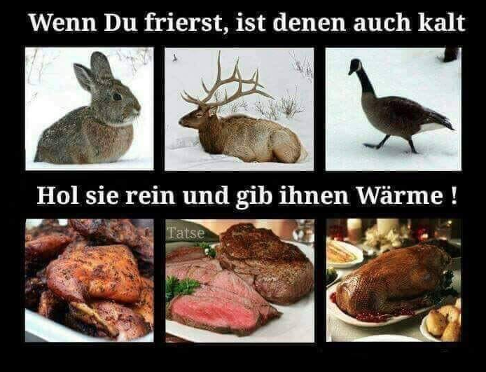 Unbenannt.PNG