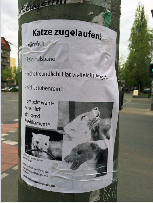 Unbenannt.PNG