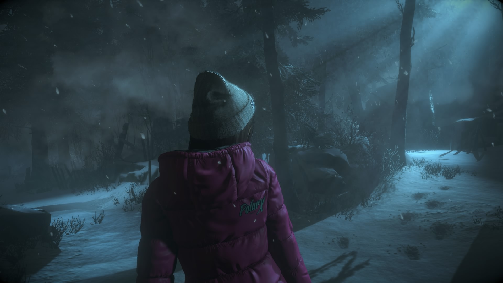 Until Dawn™_20150820162654.jpg