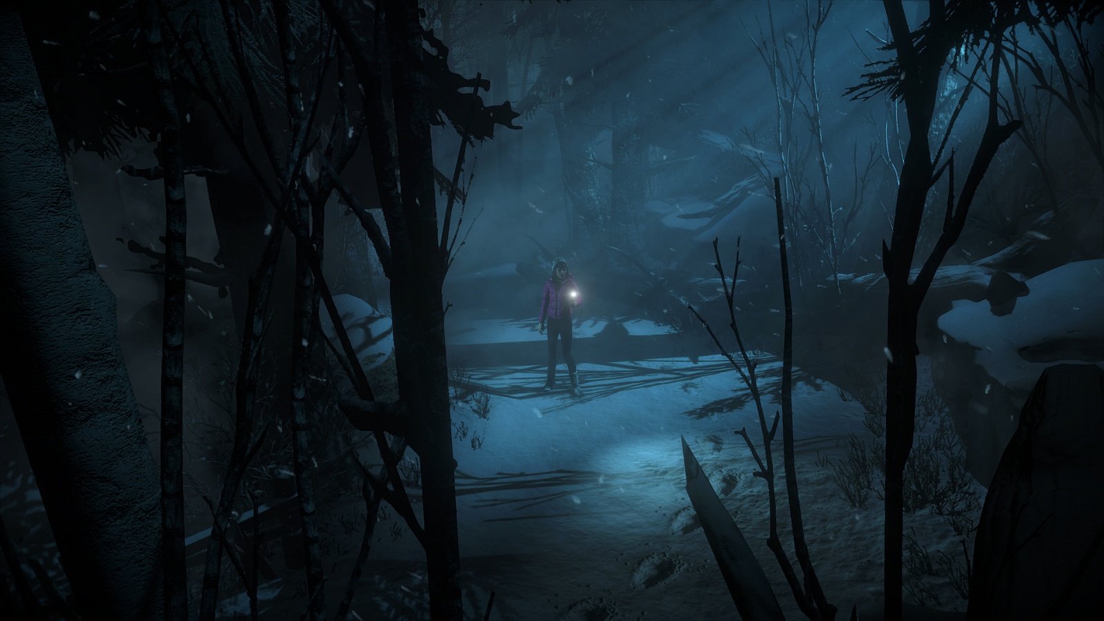 Until Dawn™_20151124095901.jpg