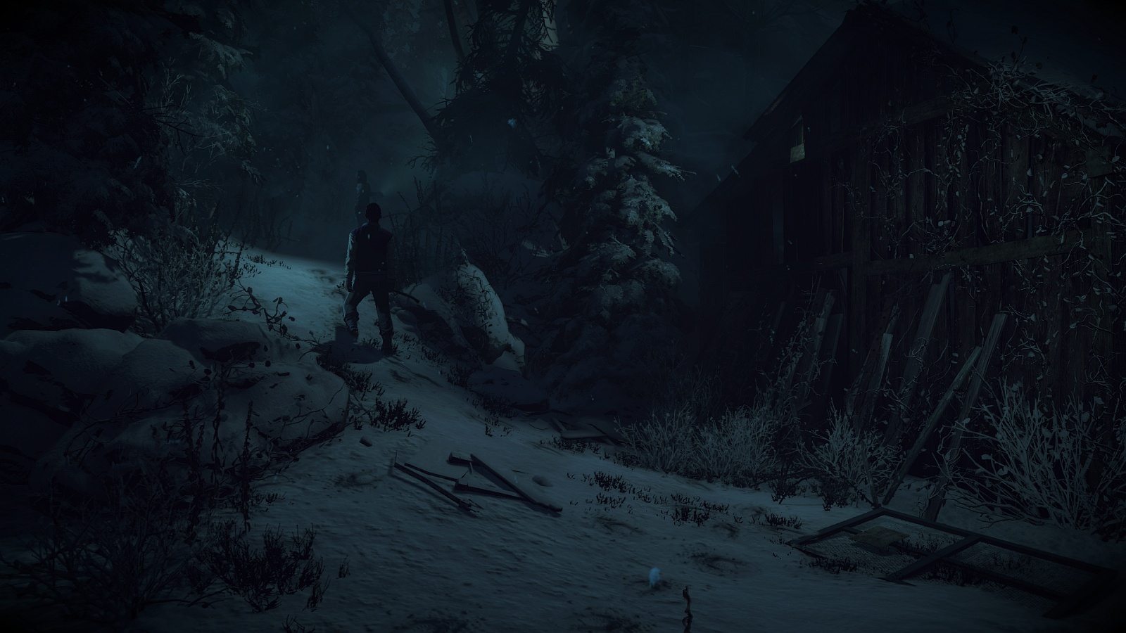 Until Dawn™_20151213130635.jpg