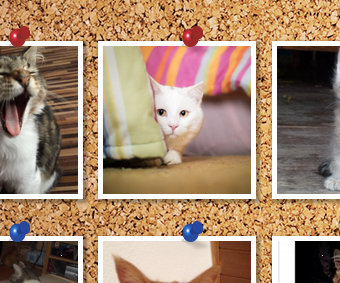 upload_2015-1-27_14-50-11.png