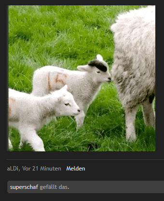 upload_2019-4-18_9-44-9.png