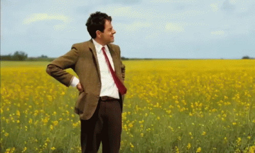 upload_2020-11-19_12-39-39.gif