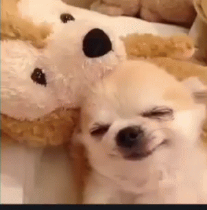 upload_2020-6-9_23-29-25.gif