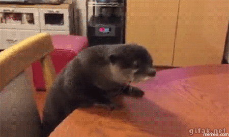 upload_2020-7-22_16-53-56.gif