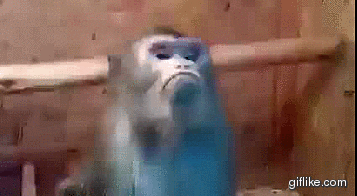 upload_2020-7-23_16-15-29.gif