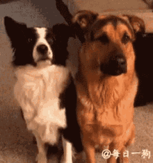 upload_2020-9-21_23-25-2.gif
