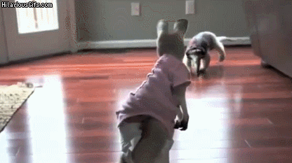 upload_2020-9-8_22-5-9.gif