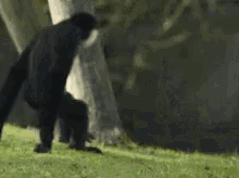 upload_2020-9-9_8-14-48.gif