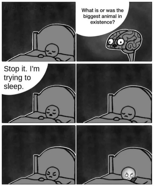 upload_2024-10-17_13-33-32.png