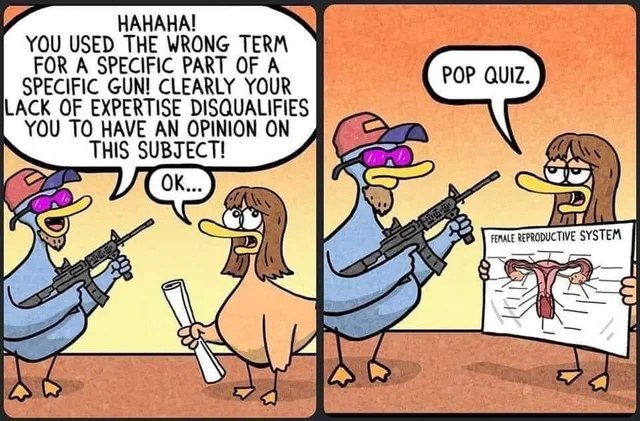 usa guns.jpg
