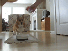 Use+this+_e71242f66cda6ec410ad4bd3c2c649f0.gif
