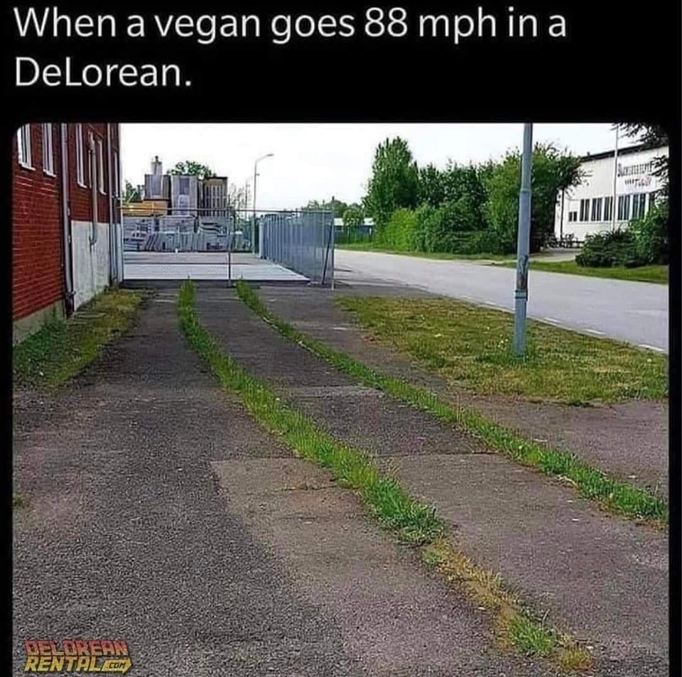 vegan 88mph.jpg