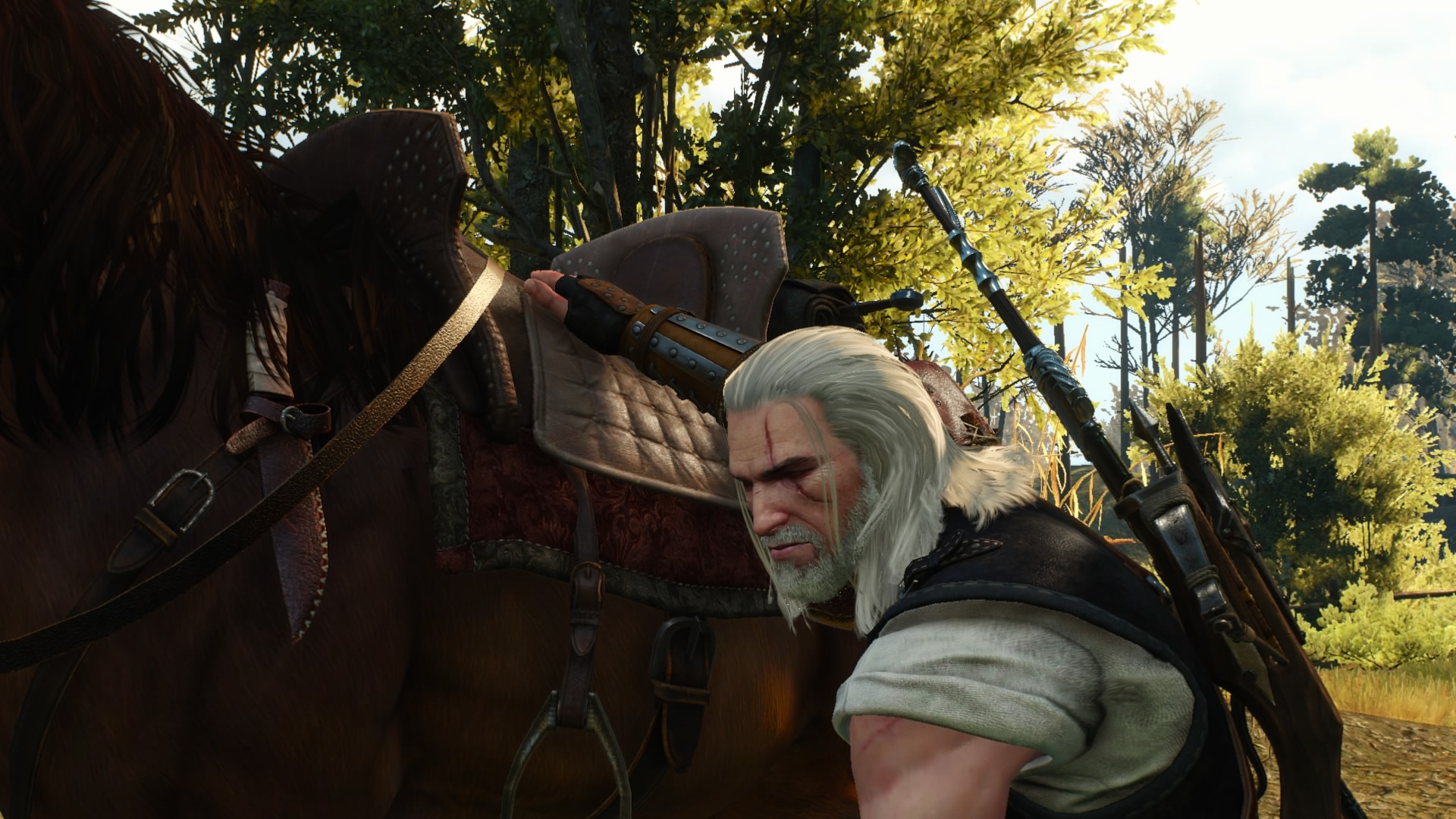 Velen_369.jpg