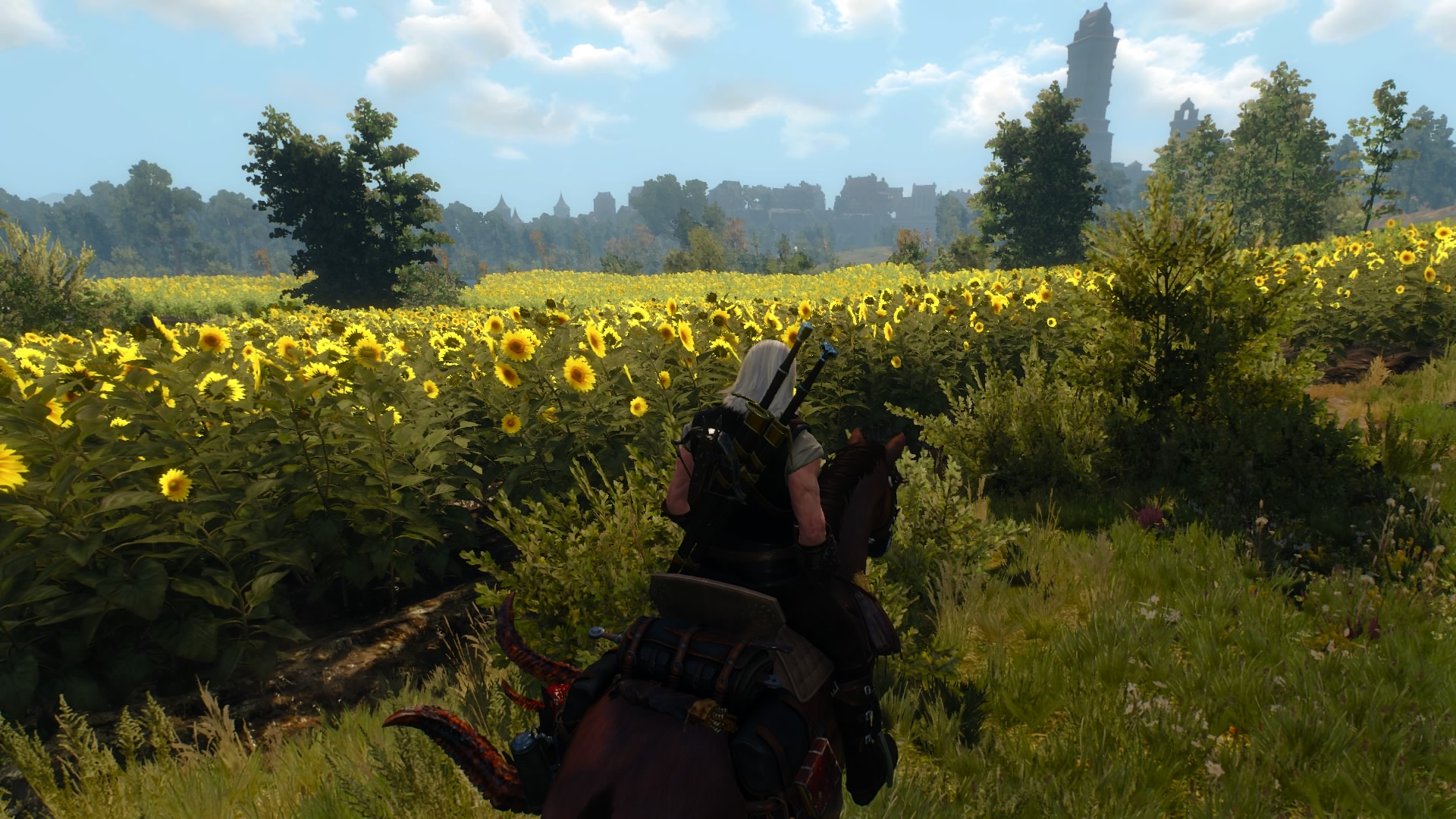 Velen_820.jpg