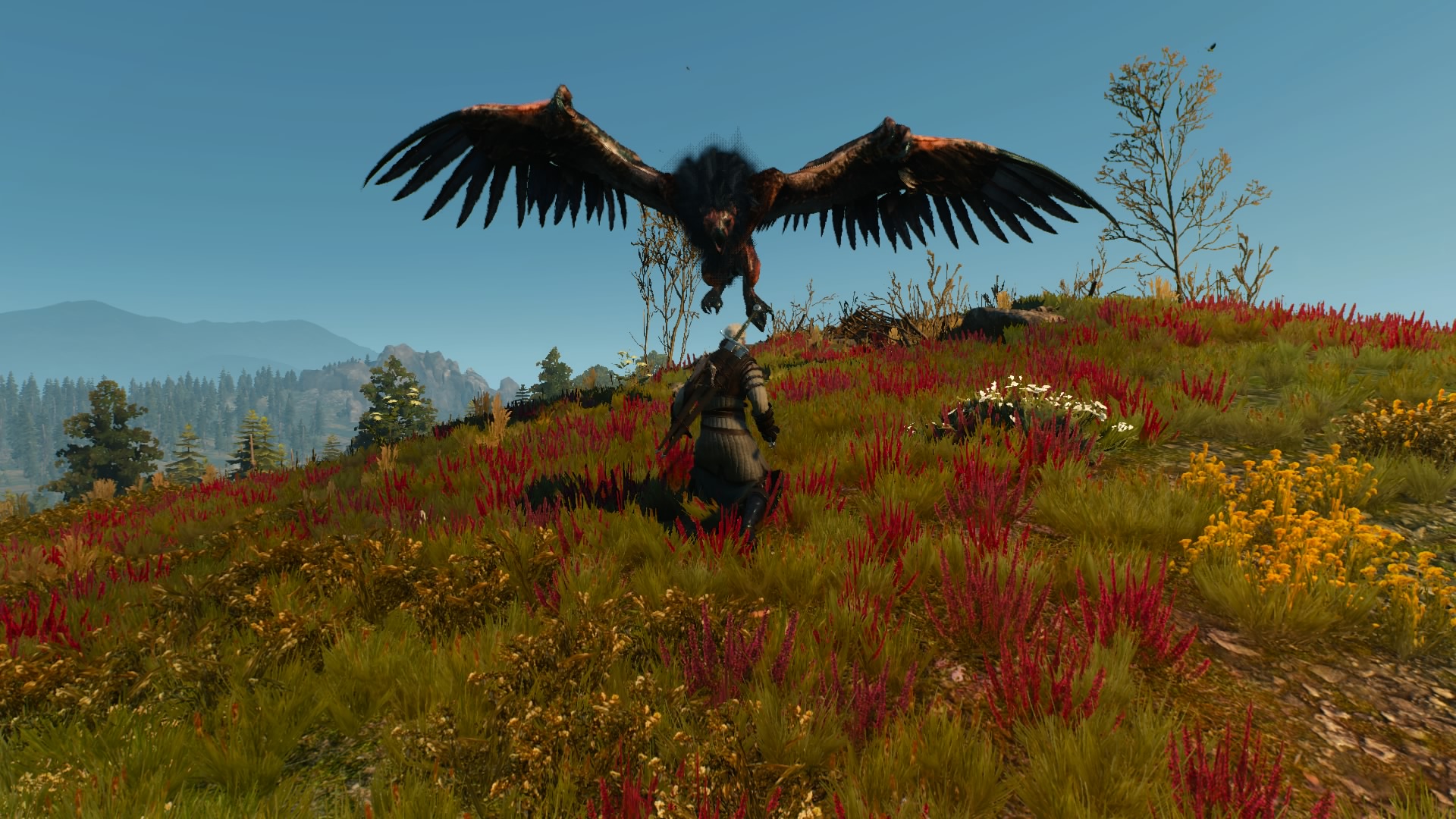 Velen_862.jpg