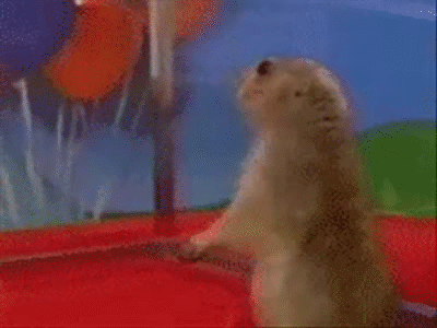vQ3u1Y.gif