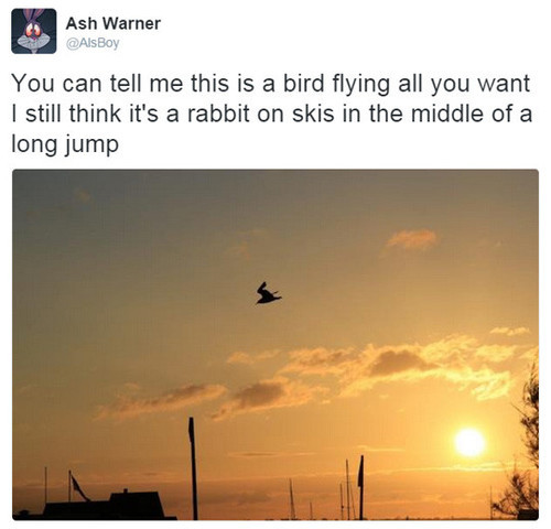 Wabbit_d69023_5976136mobile.jpg