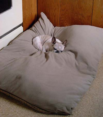 WandaHugeBed.jpg