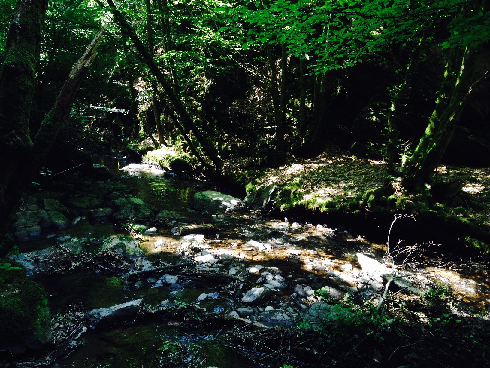 wandern.jpg