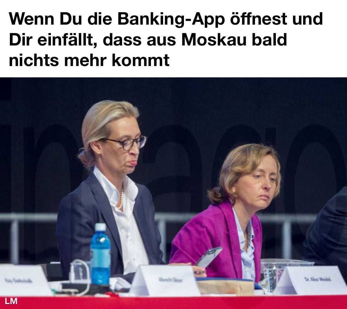 weidel - lange fresse.jpg