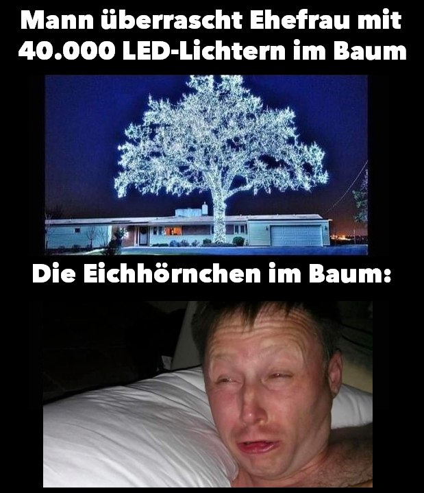 weihnachtsbeleuchtung.jpg
