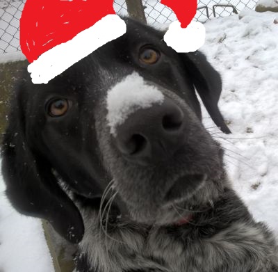 Weihnachtsmütze.jpg
