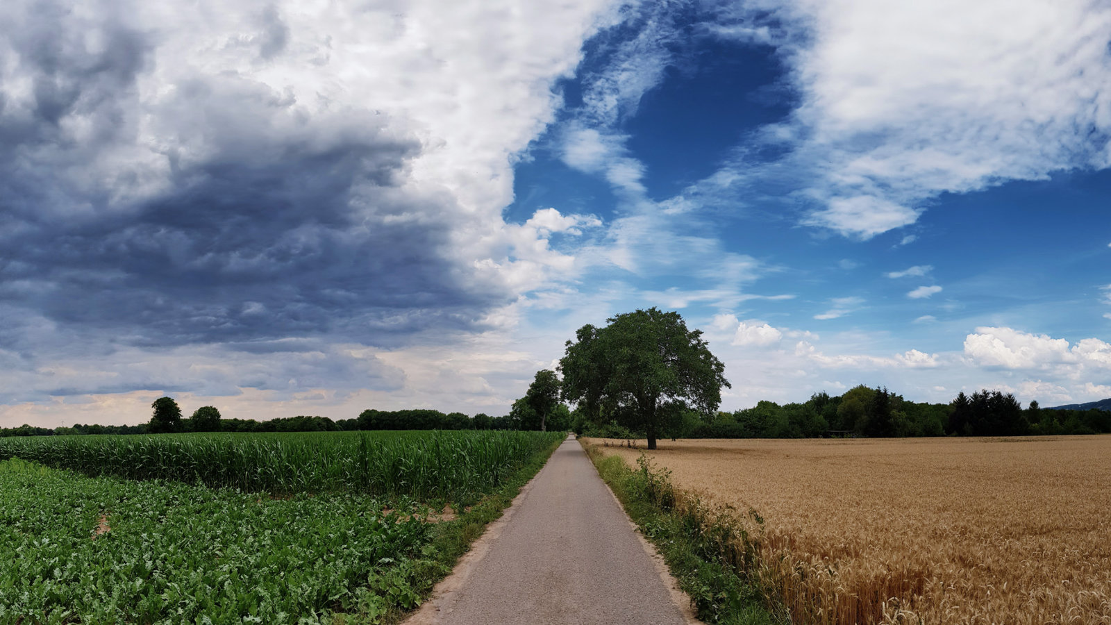 wetter.jpg